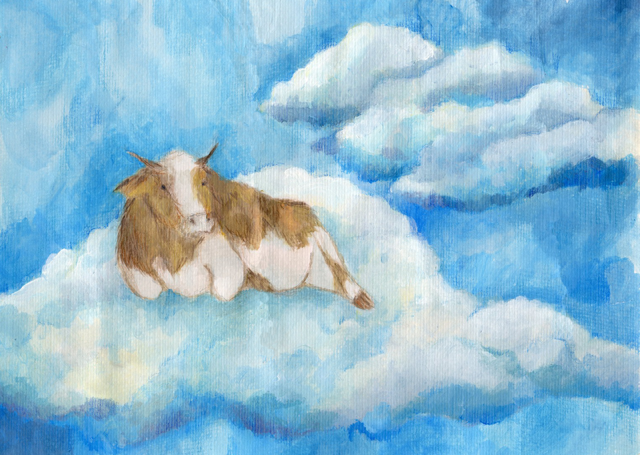 25 años arando las nubes